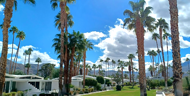 real estate agent palm springs ca